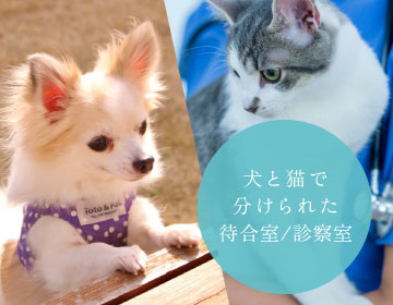 犬と猫で分けられた待合室/診察室