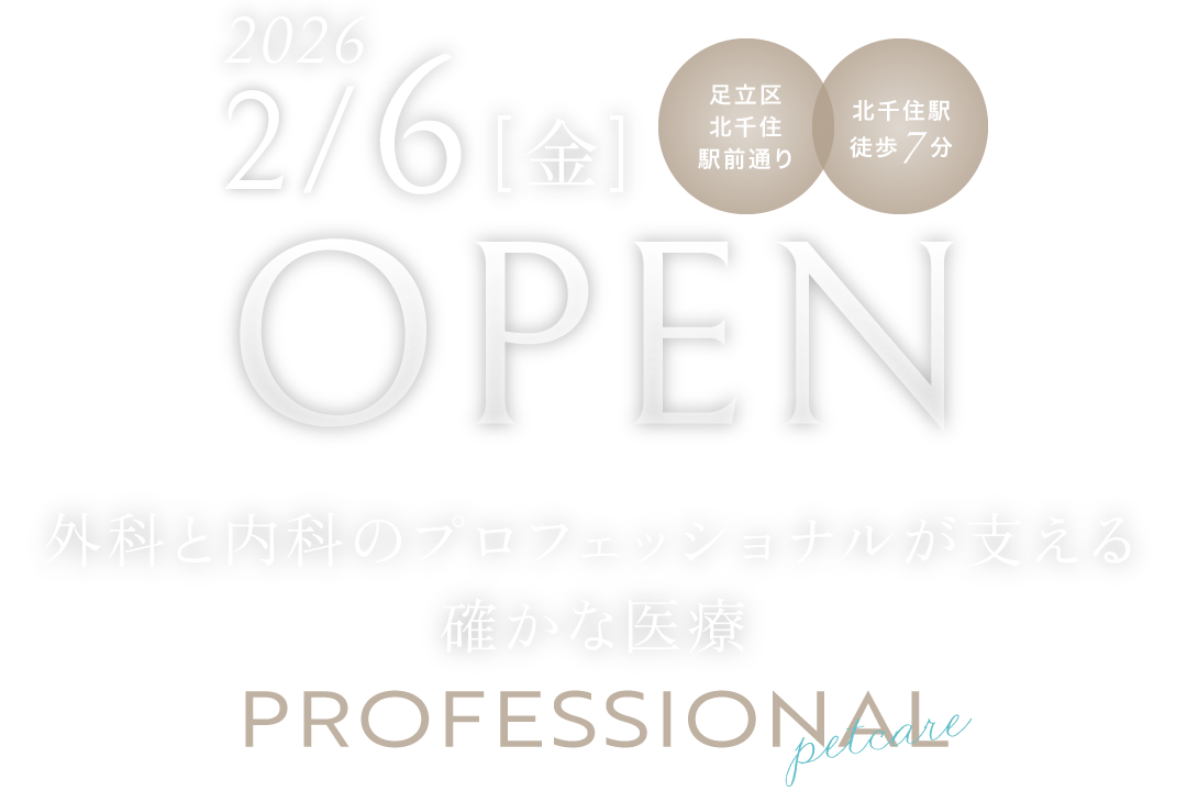 2026年2月6日(金) オープン/アクセス便利!アクセス便利!北千住駅徒歩7分/外科と内科のプロフェッショナルが支える確かな医療